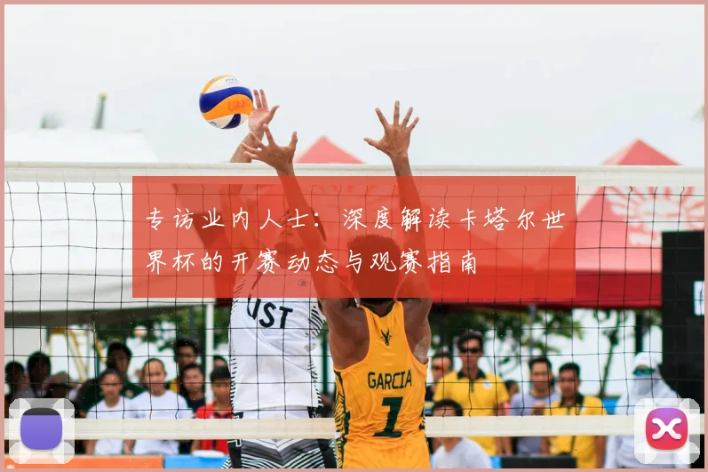 专访业内人士：深度解读卡塔尔世界杯的开赛动态与观赛指南