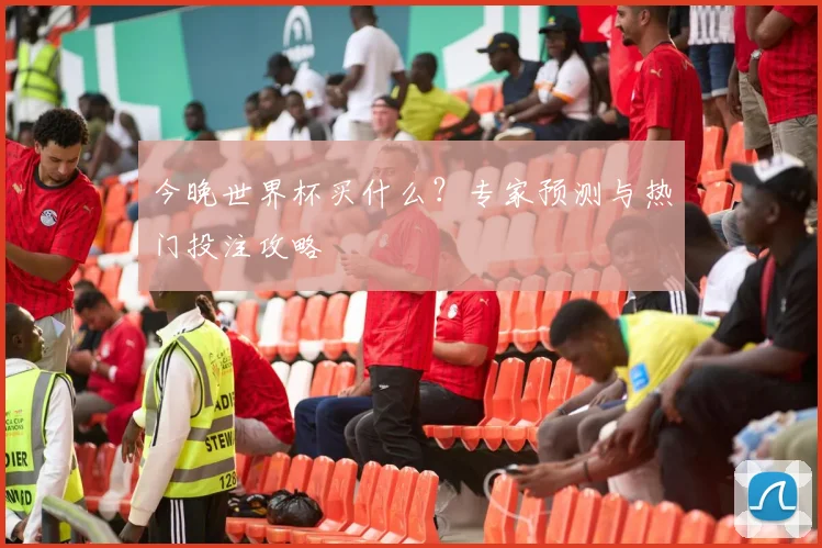 今晚世界杯买什么？专家预测与热门投注攻略