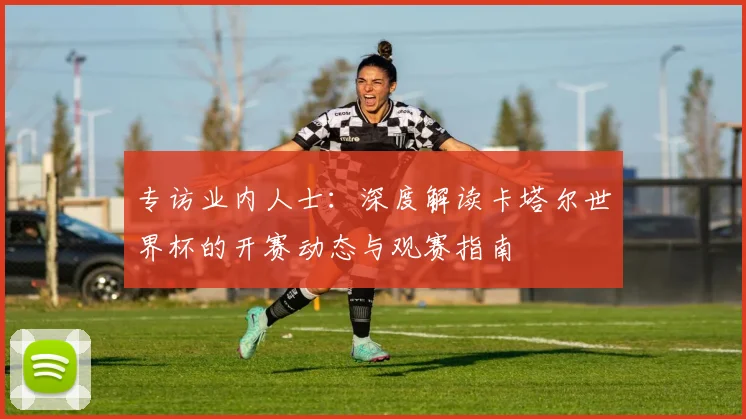 专访业内人士：深度解读卡塔尔世界杯的开赛动态与观赛指南