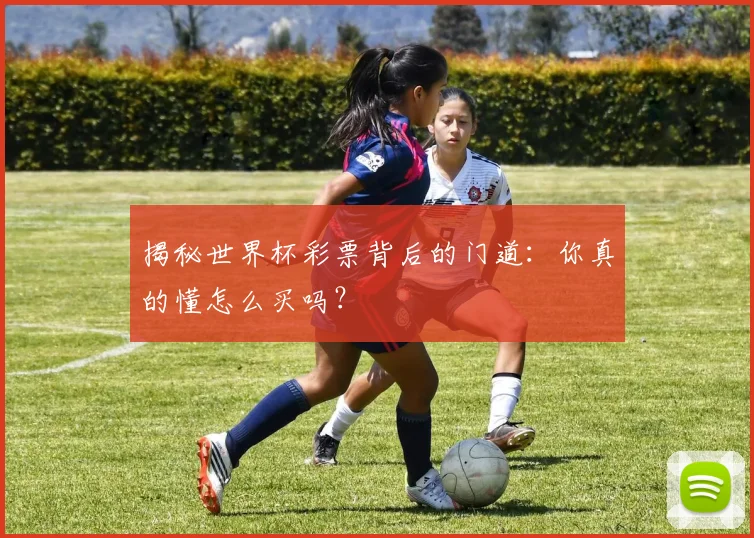 揭秘世界杯彩票背后的门道：你真的懂怎么买吗？